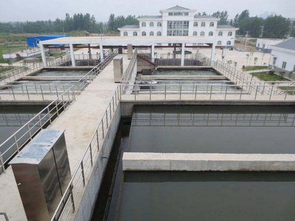 顆?；钚蕴?jī)艋|(zhì)